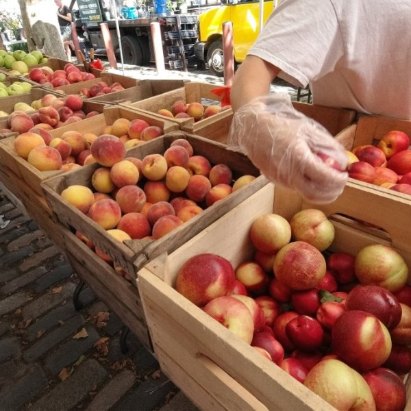 Explore the Benefits of Community Supported Agriculture in Philadelphia | online casino no deposit b